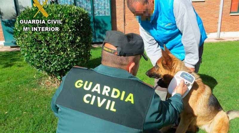 Resultados fase de intensificación de la “OPERACIÓN CAN” para el control de cánidos 1