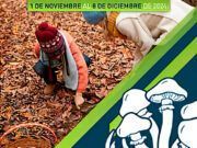 Las Jornadas Micológicas 2024 en Tábara, Alba y Aliste Celebran los Sabores del Bosque