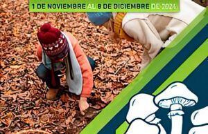 Las Jornadas Micológicas 2024 en Tábara, Alba y Aliste Celebran los Sabores del Bosque