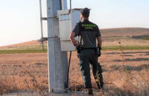 La Guardia Civil investiga a una persona por la electrocución y muerte de varias aves protegidas