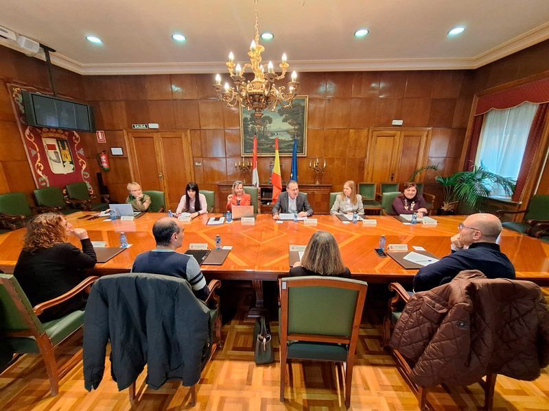 El Gobierno de España subvencionará el 50% de los proyectos presentados por el Ayuntamiento de Alcañices para subsanar los daños del incendio forestal ocurrido el 14 de septiembre de 2024 1
