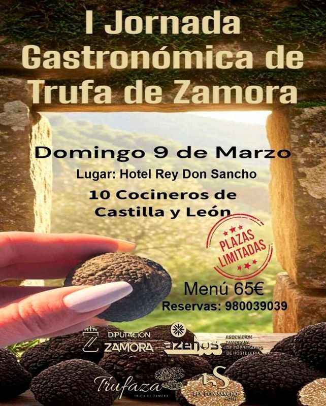 La Diputación de Zamora y Azehos organizan la primera Jornada de la Trufa en Zamora 1