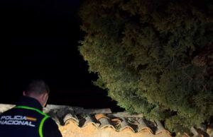 La Policía Nacional confirma mediante ADN que la identidad de los restos hallados en el cementerio de la localidad soriana de Andaluz es la de la persona cuya desaparición fue denunciada por un familiar