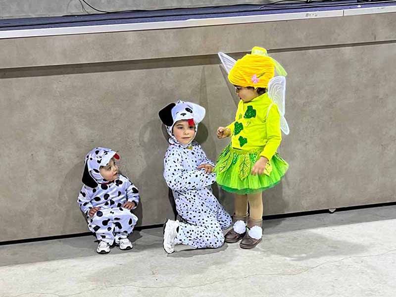 El Carnaval de Tábara, deslucido por la aguanieve, pero con momentos de alegría 11