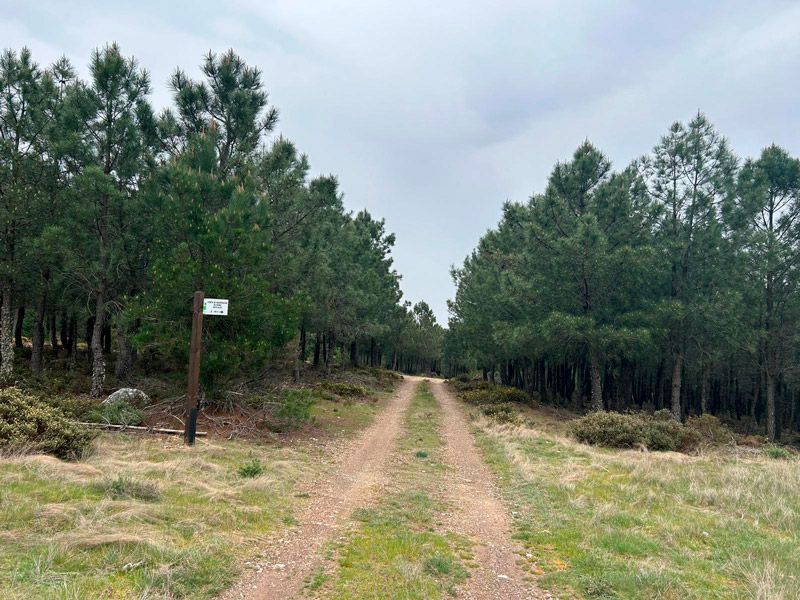 El cuento de las ayudas ZIS: migajas para nuestros municipios, olvido para la Sierra de la Culebra 1