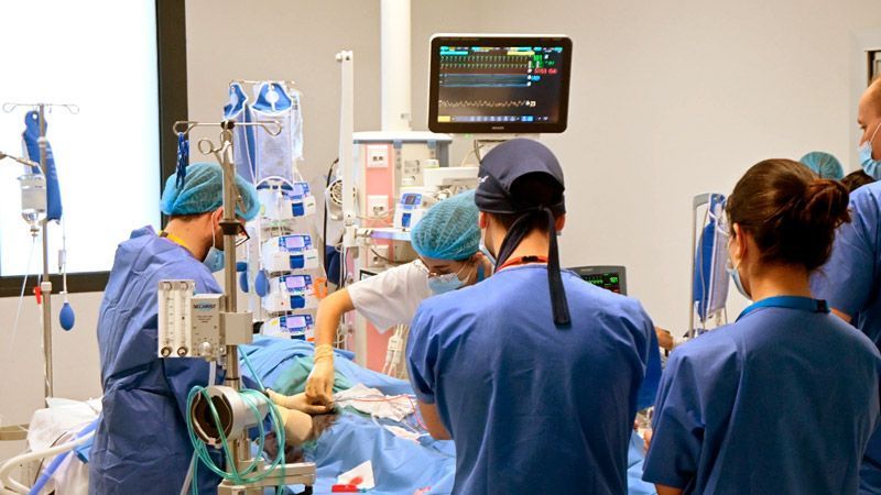 Las 35 donaciones registradas en Castilla y León entre enero y marzo suman 114 órganos para trasplante 1