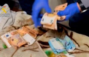 Un detenido y un punto de venta de sustancias estupefacientes desmantelado en Benavente dentro de la operación AMELGA