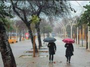 “Aviso de Tormentas y Lluvias en Castilla y León: La AEMET emite alerta de nivel amarillo”