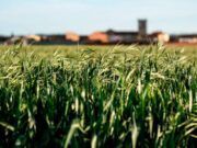 El Gobierno destina 28,4 millones de euros a Castilla y León para financiar intervenciones de desarrollo rural
