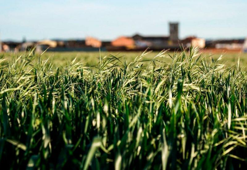 El Gobierno destina 28,4 millones de euros a Castilla y León para financiar intervenciones de desarrollo rural 1