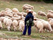 El Gobierno publica la orden de módulos con importantes reducciones en el IRPF 2024 para 58.700 agricultores y ganaderos de Castilla y León