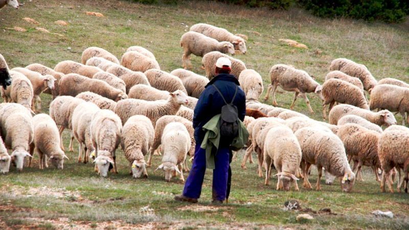 El Gobierno publica la orden de módulos con importantes reducciones en el IRPF 2024 para 58.700 agricultores y ganaderos de Castilla y León 1