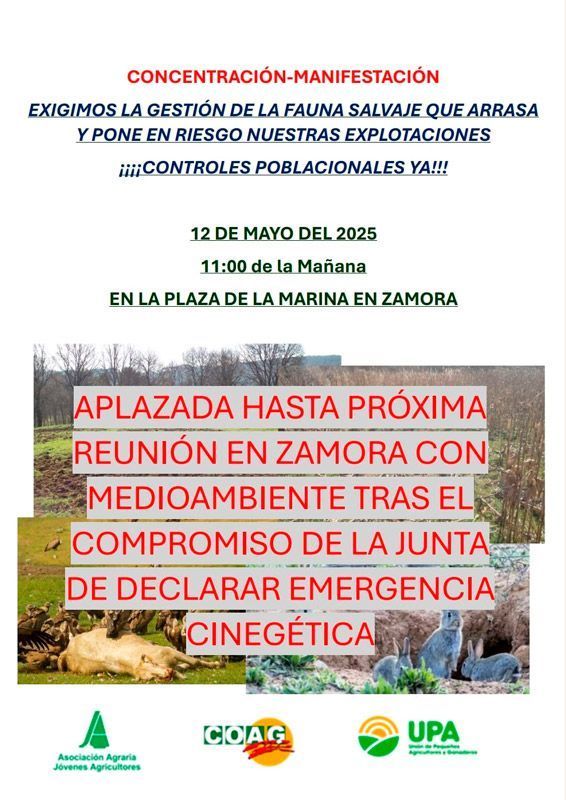 “El campo de Zamora, a merced de los ciervos: Protesta ante la invasión de fauna salvaje que arrasa cultivos” 1