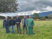 La Junta concede de forma directa nuevas ayudas por 1,16 millones de euros a 675 explotaciones de bovino afectadas por la EHE