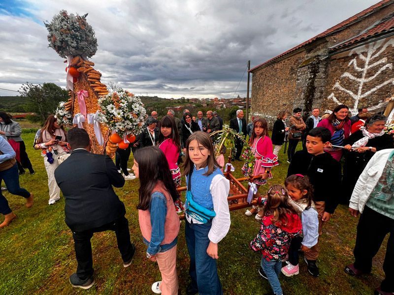 Losacio celebra la histórica romería de la Santa Cruz en honor a la Virgen del Puerto 2