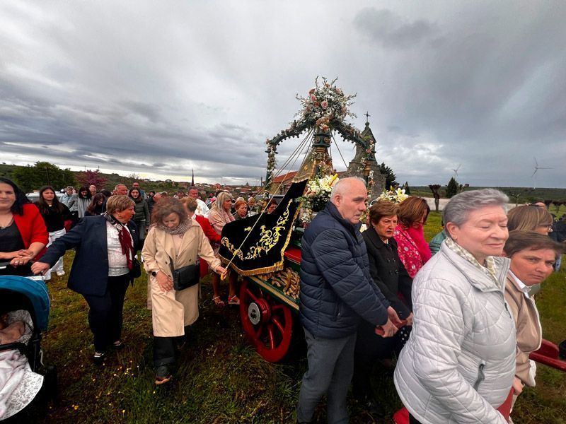 Losacio celebra la histórica romería de la Santa Cruz en honor a la Virgen del Puerto 8