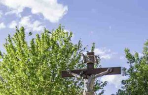 “Tábara vive con pasión la procesión del Bendito Cristo de la Capilla: fe, tradición y emoción en una jornada única”