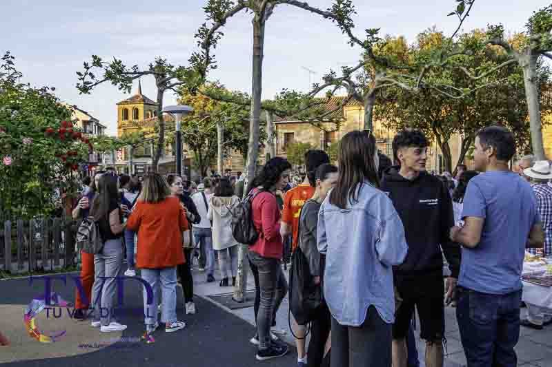 Tábara celebra a San Isidro por todo lo alto con una multitudinaria fiesta en la Plaza Mayor 31