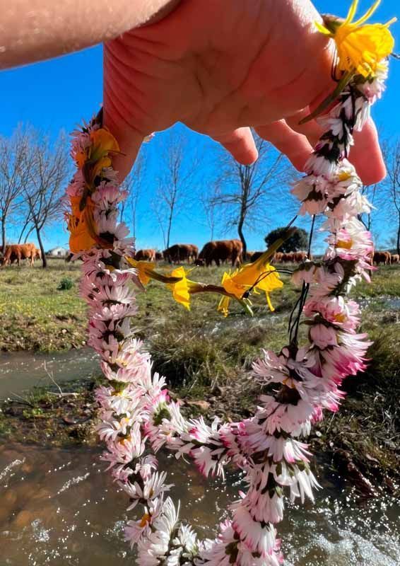 La primavera florece en imágenes: Magius expone las 43 mejores instantáneas de Tábara 11