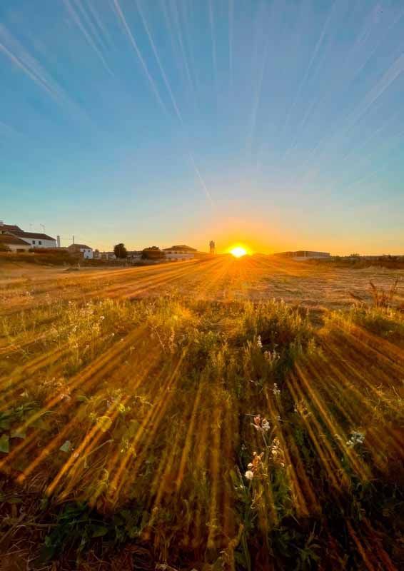 La primavera florece en imágenes: Magius expone las 43 mejores instantáneas de Tábara 12