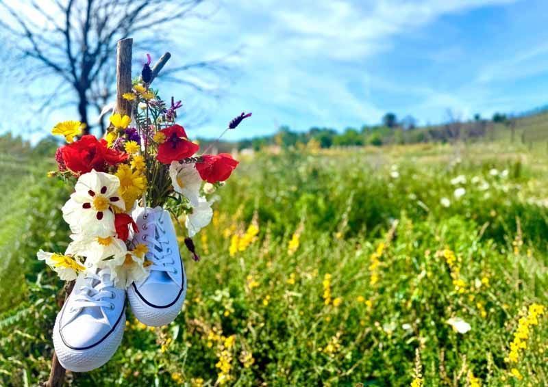 La primavera florece en imágenes: Magius expone las 43 mejores instantáneas de Tábara 16
