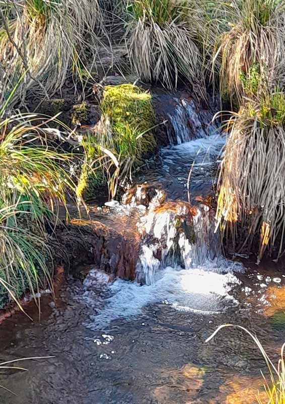 La primavera florece en imágenes: Magius expone las 43 mejores instantáneas de Tábara 15