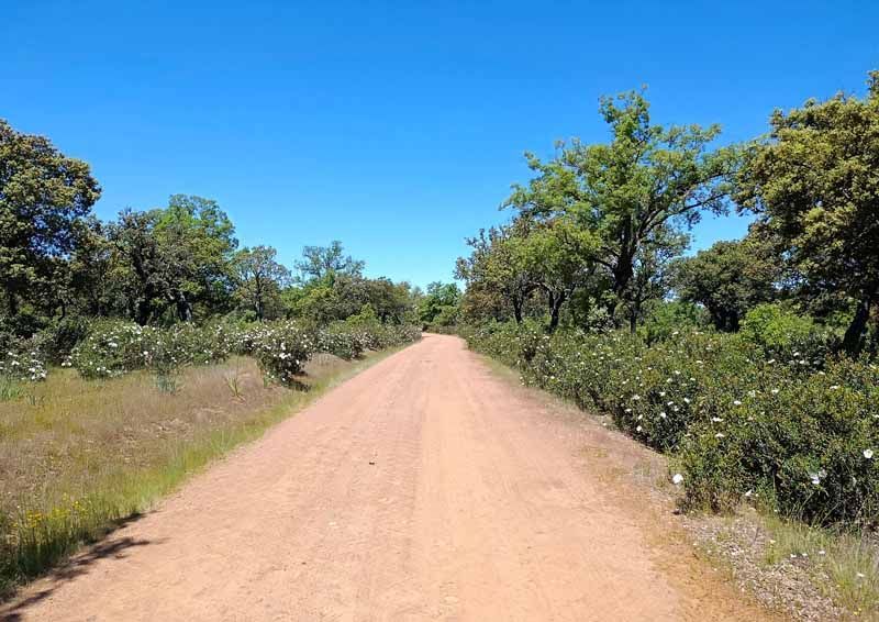 La primavera florece en imágenes: Magius expone las 43 mejores instantáneas de Tábara 17
