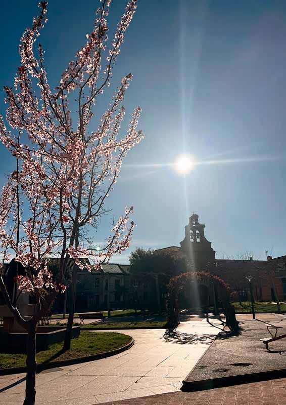La primavera florece en imágenes: Magius expone las 43 mejores instantáneas de Tábara 3