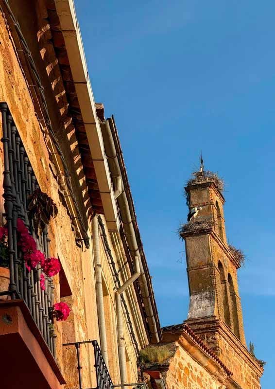 La primavera florece en imágenes: Magius expone las 43 mejores instantáneas de Tábara 22