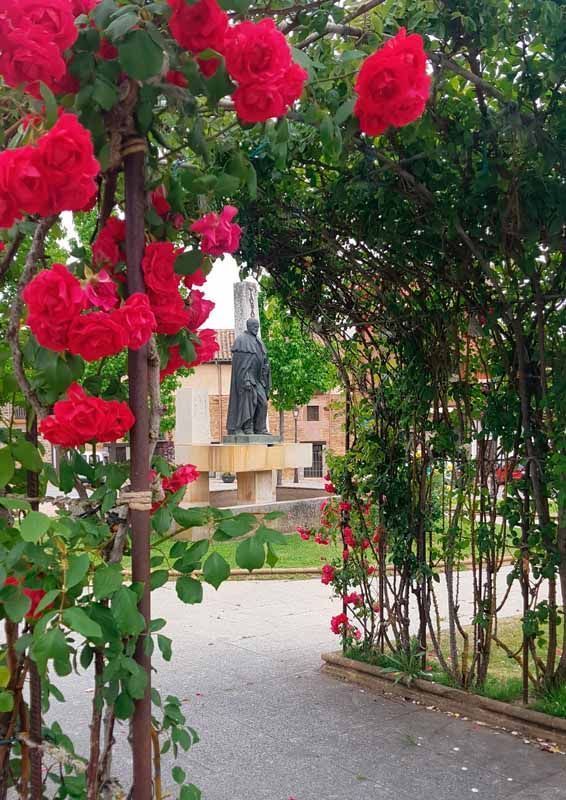 La primavera florece en imágenes: Magius expone las 43 mejores instantáneas de Tábara 14