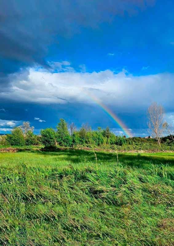 La primavera florece en imágenes: Magius expone las 43 mejores instantáneas de Tábara 26
