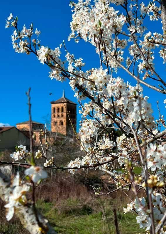 La primavera florece en imágenes: Magius expone las 43 mejores instantáneas de Tábara 4