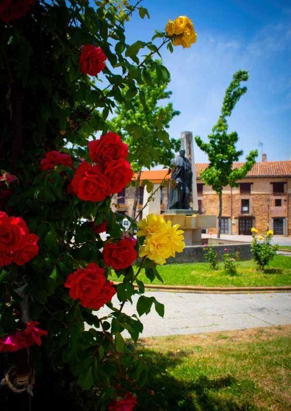 La primavera florece en imágenes: Magius expone las 43 mejores instantáneas de Tábara 37