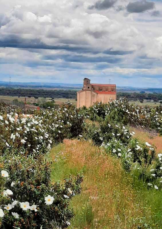 La primavera florece en imágenes: Magius expone las 43 mejores instantáneas de Tábara 40