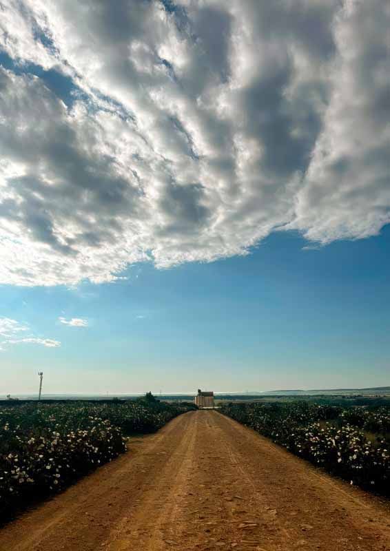 La primavera florece en imágenes: Magius expone las 43 mejores instantáneas de Tábara 43