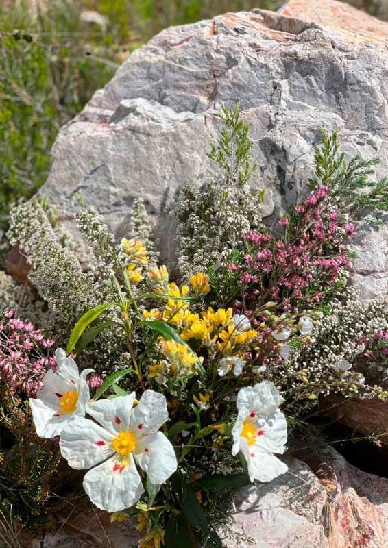La primavera florece en imágenes: Magius expone las 43 mejores instantáneas de Tábara 46