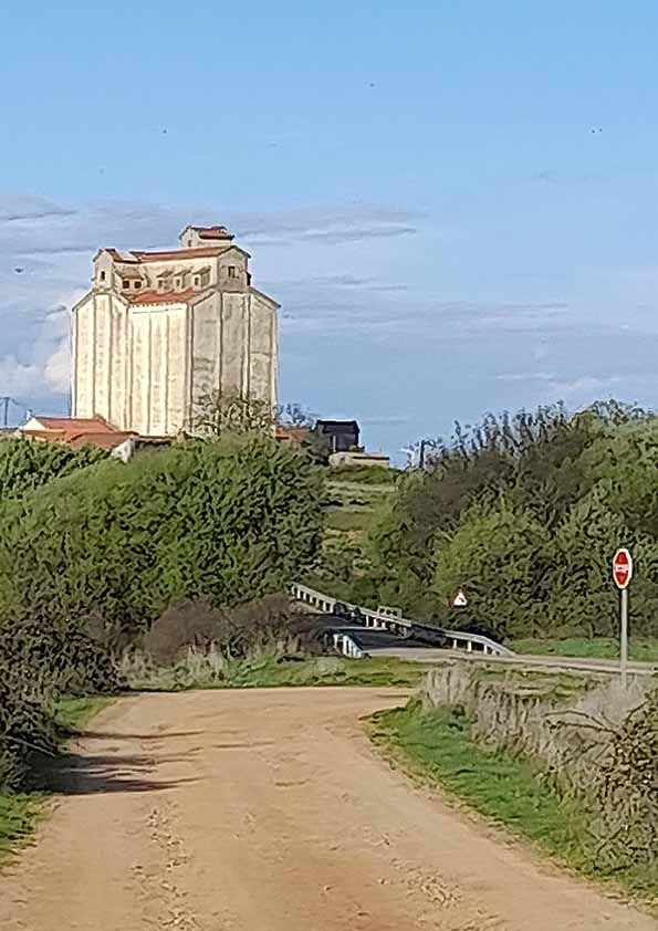 La primavera florece en imágenes: Magius expone las 43 mejores instantáneas de Tábara 44
