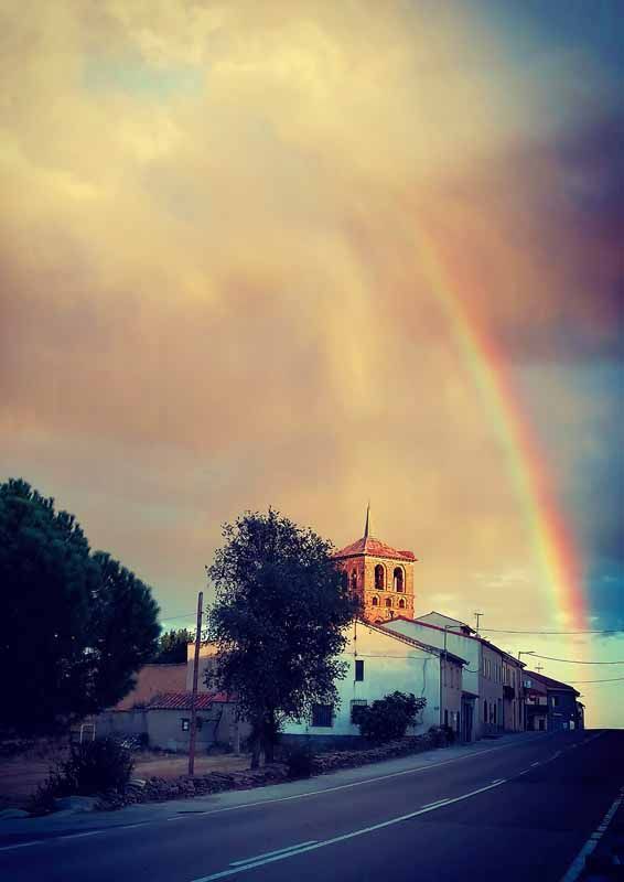 La primavera florece en imágenes: Magius expone las 43 mejores instantáneas de Tábara 7