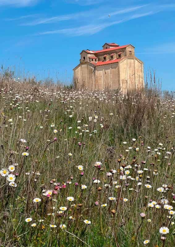 La primavera florece en imágenes: Magius expone las 43 mejores instantáneas de Tábara 8