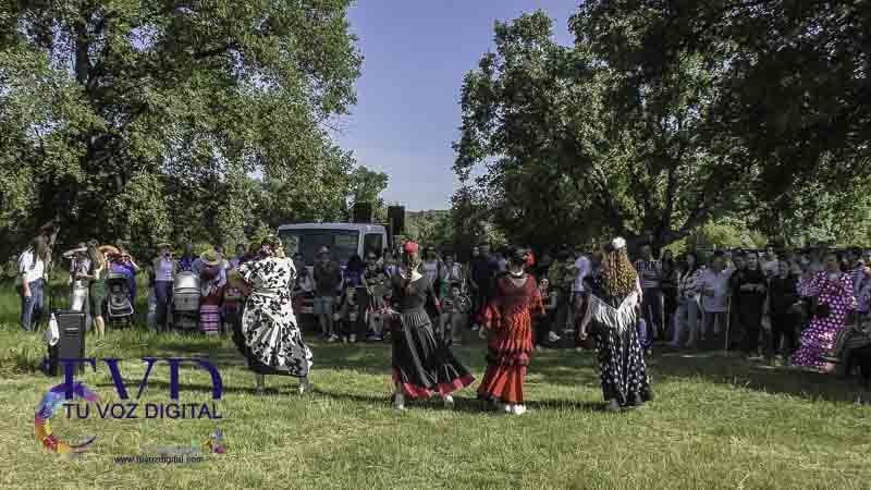 San Mamés se convierte en epicentro del espíritu rociero gracias a la Asociación Cultural Magius 20