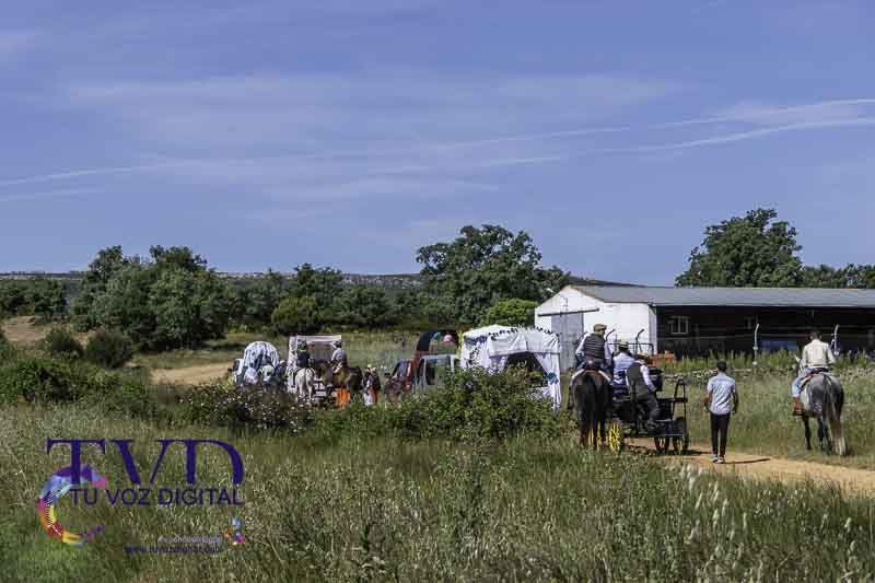 San Mamés se convierte en epicentro del espíritu rociero gracias a la Asociación Cultural Magius 34