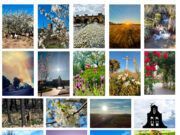 La primavera florece en imágenes: Magius expone las 43 mejores instantáneas de Tábara