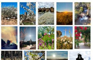La primavera florece en imágenes: Magius expone las 43 mejores instantáneas de Tábara