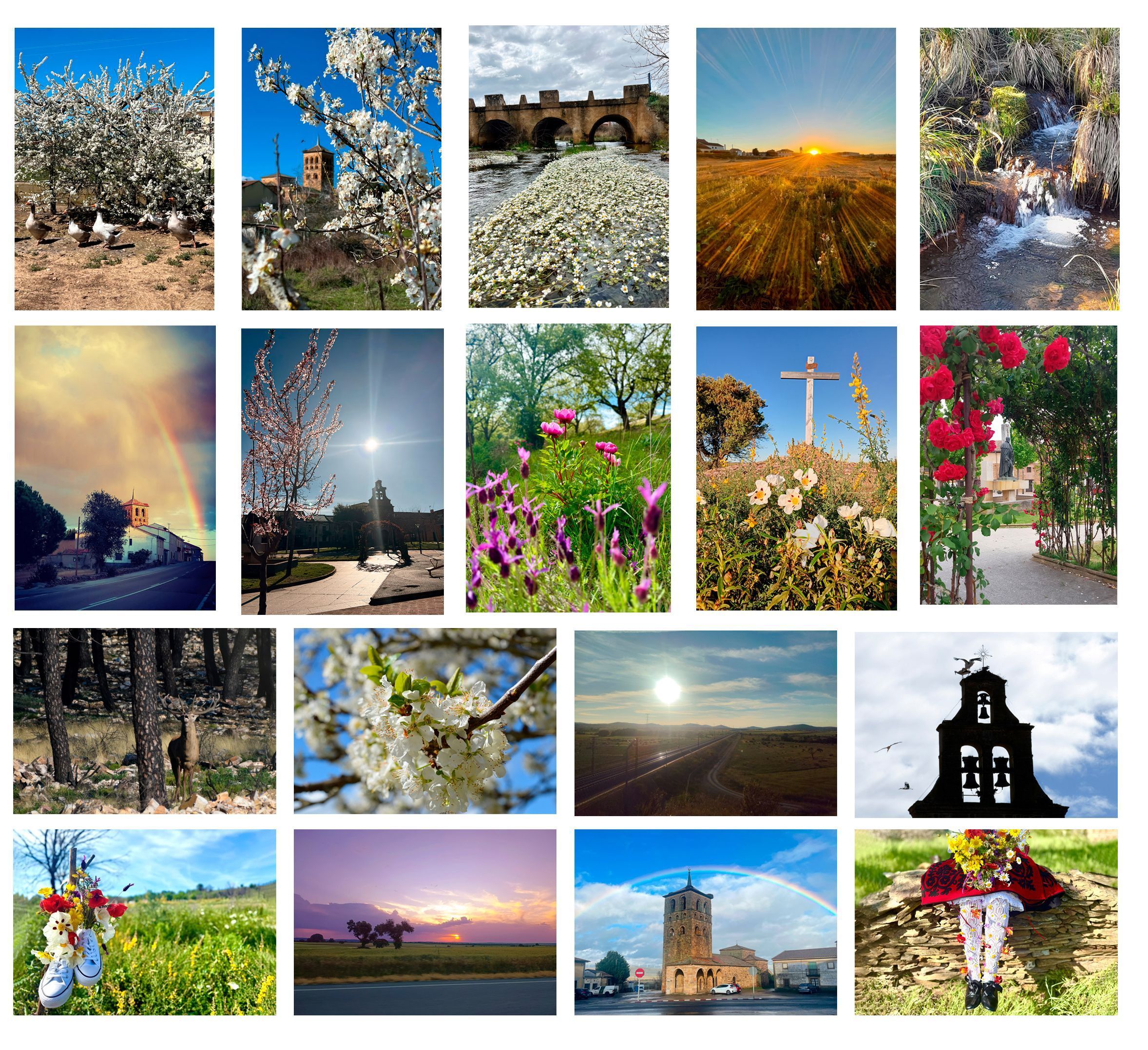 La primavera florece en imágenes: Magius expone las 43 mejores instantáneas de Tábara 1