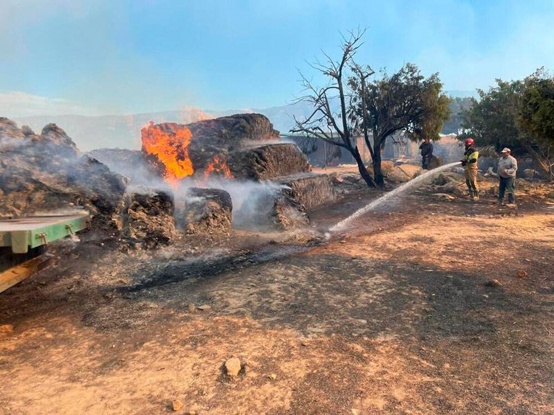 El Gobierno de España aportó alrededor de 268 efectivos al incendio forestal de Navaluenga (Ávila) 1