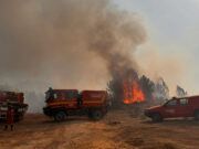 Detenido un trabajador de extinción de incendios forestales por el incendio de Cuevas del Valle (Ávila), que arrasó cerca de 2.200 hectáreas hace dos semanas