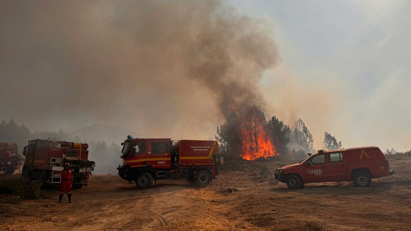 Detenido un trabajador de extinción de incendios forestales por el incendio de Cuevas del Valle (Ávila), que arrasó cerca de 2.200 hectáreas hace dos semanas 1