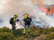 El Gobierno habilita la vía para que los damnificados por los 114 incendios forestales registrados durante los últimos dos meses soliciten ayudas y subvenciones