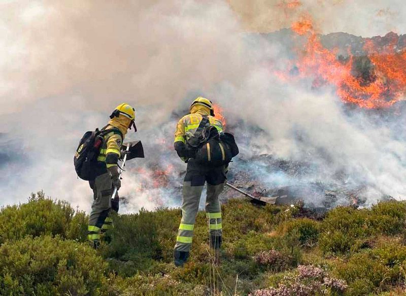 El Gobierno habilita la vía para que los damnificados por los 114 incendios forestales registrados durante los últimos dos meses soliciten ayudas y subvenciones 1