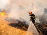 “El PSOE de Tábara denuncia la falta de medios frente a los devastadores incendios en Zamora”